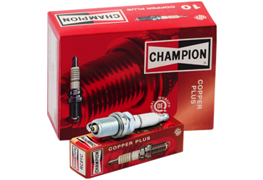 Fake champion online